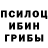 Псилоцибиновые грибы GOLDEN TEACHER Limon PLAY