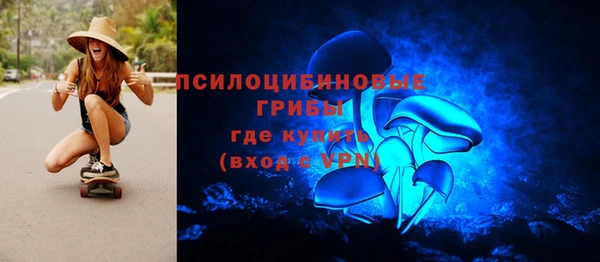 шишки Липки