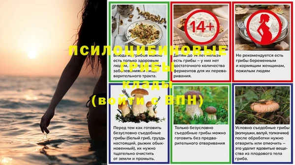 а пвп мука Богданович