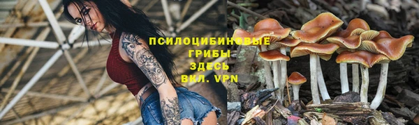 альфа пвп Богородск