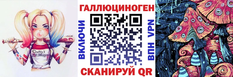 Псилоцибиновые грибы Psilocybine cubensis  Люберцы 
